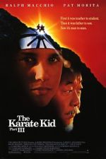 Watch The Karate Kid Part III Wootly