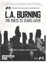 Watch L.A. Burning: The Riots 25 Years Later Wootly