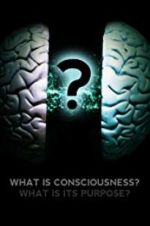 Watch What Is Consciousness? What Is Its Purpose? Wootly