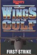 Watch Wings Over the Gulf Vol  1  First Strike Wootly