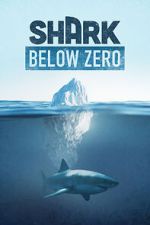 Watch Shark Below Zero Wootly