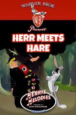 Watch Herr Meets Hare (Short 1945) Wootly