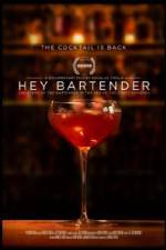 Watch Hey Bartender Wootly