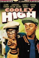 Watch Cooley High Wootly