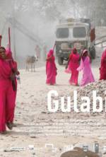 Watch Gulabi Gang Wootly