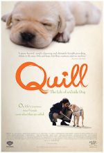 Watch Quill: The Life of a Guide Dog Wootly