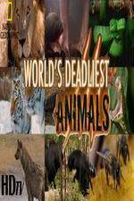 Watch National Geographic - Worlds Deadliest Animal Battles Wootly