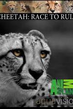 Watch Cheetah: Race to Rule Wootly