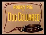 Watch Dog Collared (Short 1950) Wootly