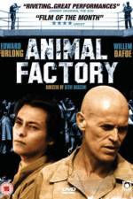 Watch Animal Factory Wootly