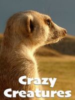 Watch Crazy Creatures Wootly