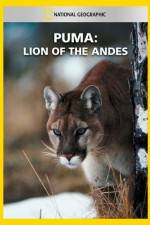 Watch National Geographic  Puma: Lion of the Andes Wootly