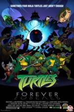 Watch Teenage Mutant Ninja Turtles Turtles Forever Wootly