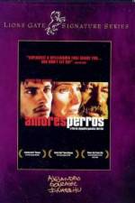 Watch Amores perros Wootly