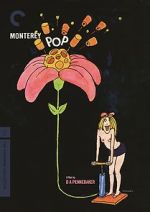 Watch Monterey Pop Wootly