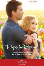 Watch Tulips in Spring Wootly