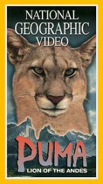 Watch Puma: Lion of the Andes Wootly