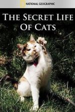 Watch The Secret Life of Cats Wootly