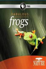 Watch Nature: Fabulous Frogs Wootly