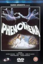 Watch Phenomena Wootly