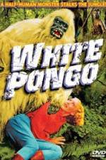 Watch White Pongo Wootly