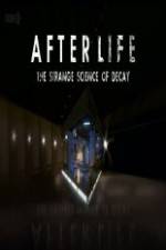 Watch After Life: The strange Science Of Decay Wootly