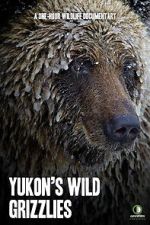 Watch Yukon\'s Wild Grizzlies Wootly