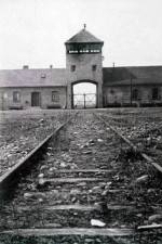 Watch AUSCHWITZ: FRENZIED KILLING Wootly