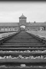 Watch AUSCHWITZ: ORDERS AND INITIATIVES Wootly