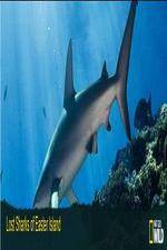 Watch National Geographic Wild - Lost Sharks of Easter Island Wootly