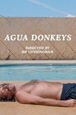 Watch Agua Donkeys Wootly