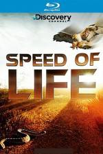 Watch Speed of Life Wootly