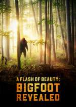 Watch A Flash of Beauty: Bigfoot Revealed Wootly