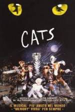 Watch Cats Wootly