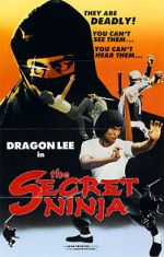 Watch Secret Ninja Wootly