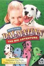 Watch Operation Dalmatian: The Big Adventure Wootly