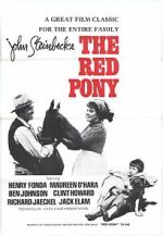 Watch The Red Pony Wootly