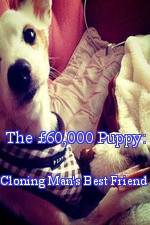 Watch The 60,000 Puppy: Cloning Man's Best Friend Wootly