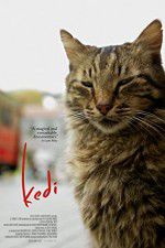 Watch Kedi Wootly