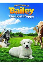 Watch Adventures of Bailey The Lost Puppy Wootly