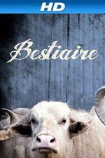 Watch Bestiaire Wootly