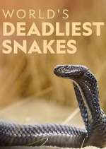Watch World's Deadliest Snakes Wootly