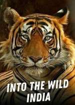 Watch Into the Wild India Wootly