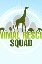 Watch Animal Rescue Squad Wootly