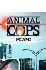 Watch Animal Cops Miami Wootly