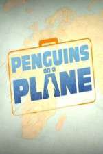 Watch Penguins on a Plane Wootly