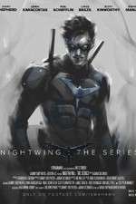 Watch Nightwing: The Series Wootly