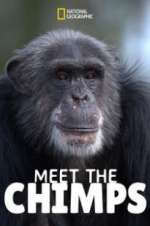 Watch Meet the Chimps Wootly
