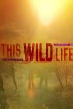 Watch This Wild Life Wootly