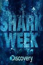 Watch Shark Week Wootly